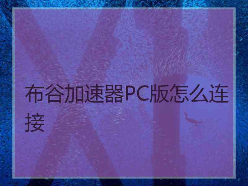 布谷加速器PC版怎么连接