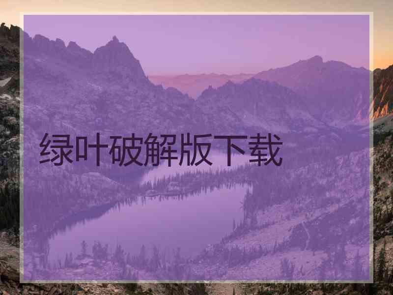 绿叶破解版下载