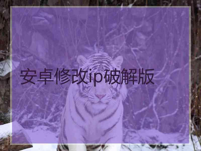 安卓修改ip破解版