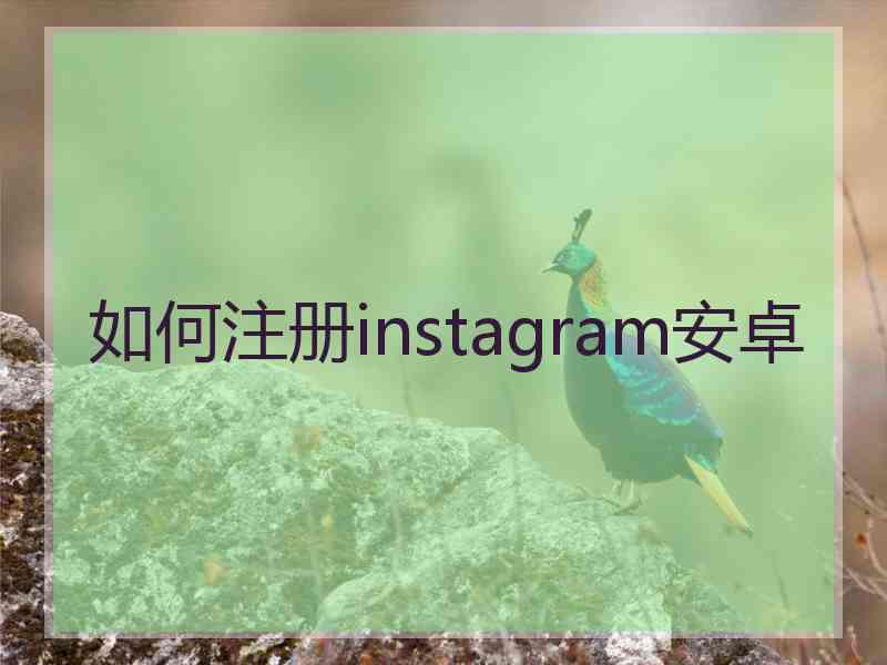 如何注册instagram安卓