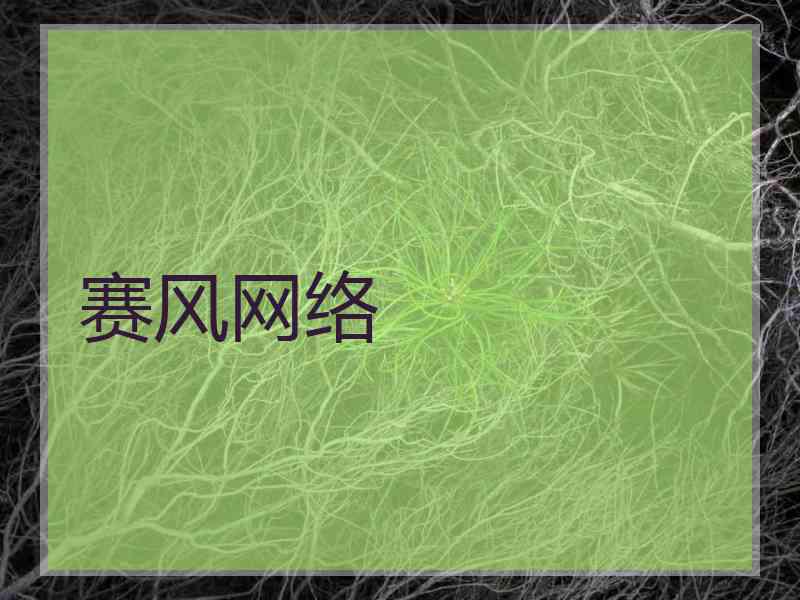 赛风网络