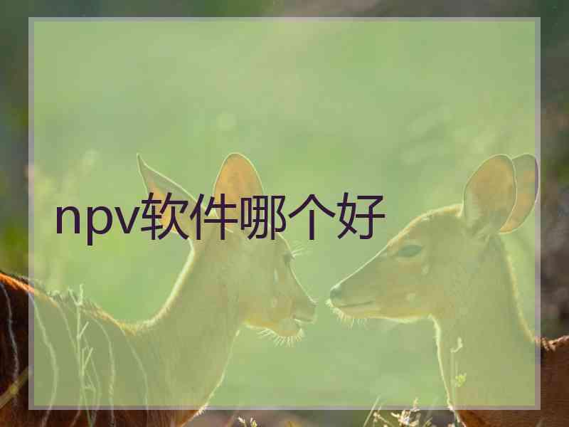 npv软件哪个好