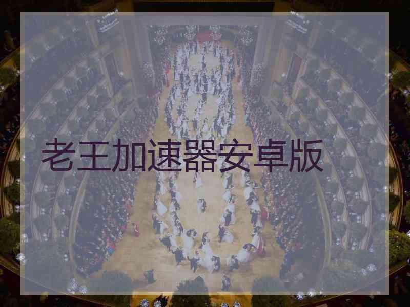 老王加速器安卓版