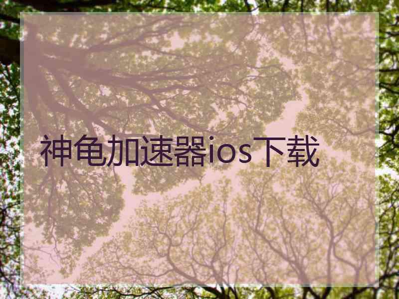 神龟加速器ios下载