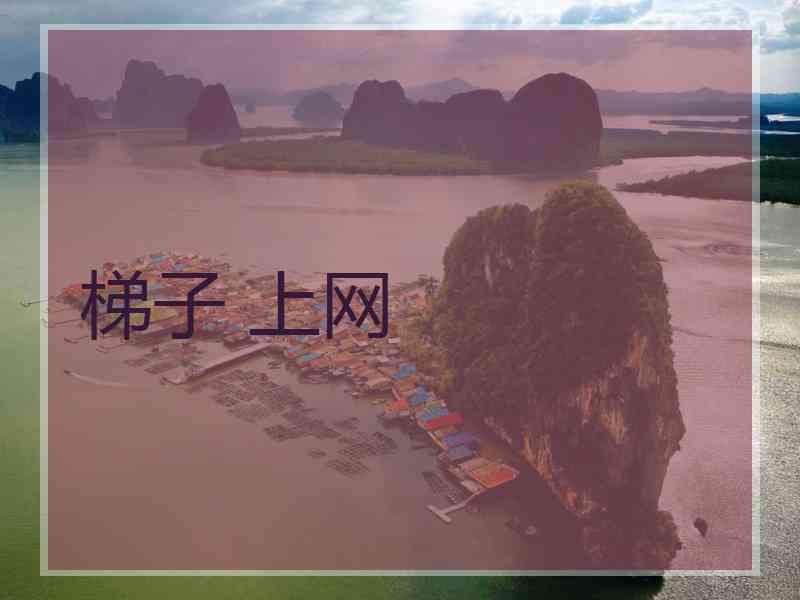 梯子 上网