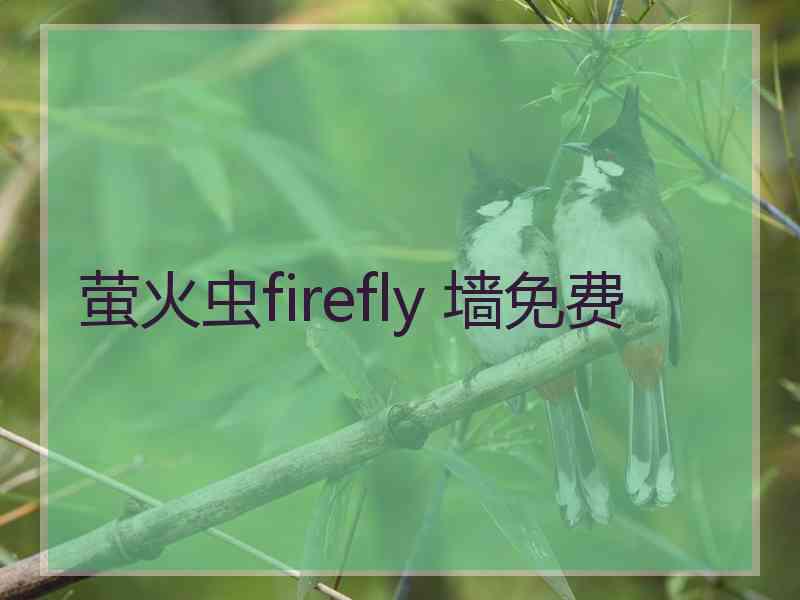 萤火虫firefly 墙免费