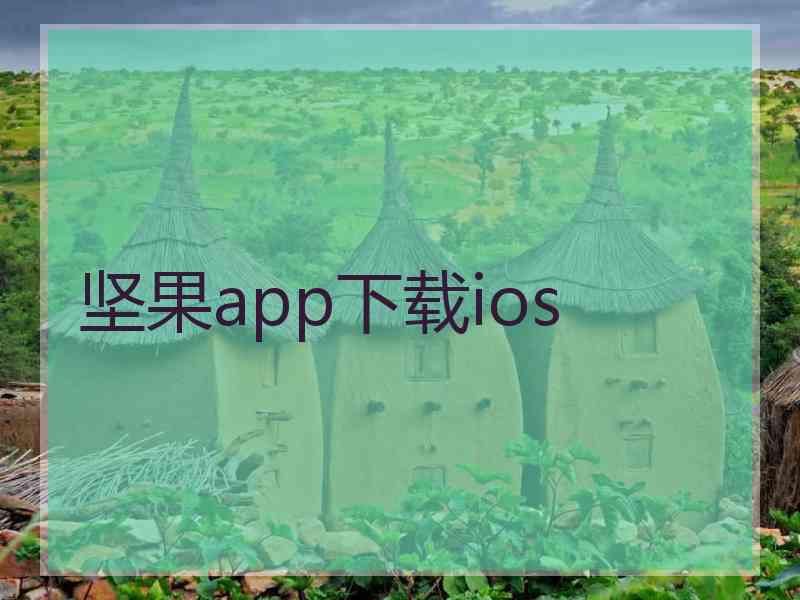 坚果app下载ios