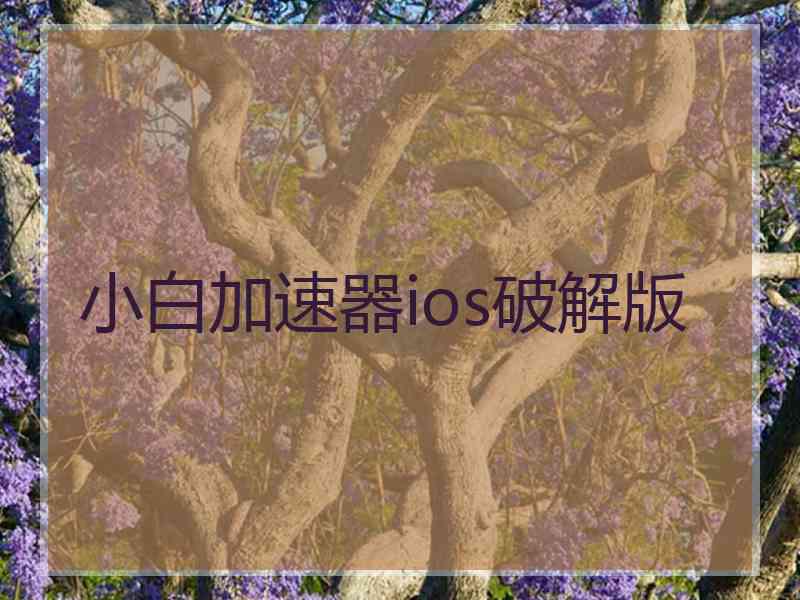 小白加速器ios破解版
