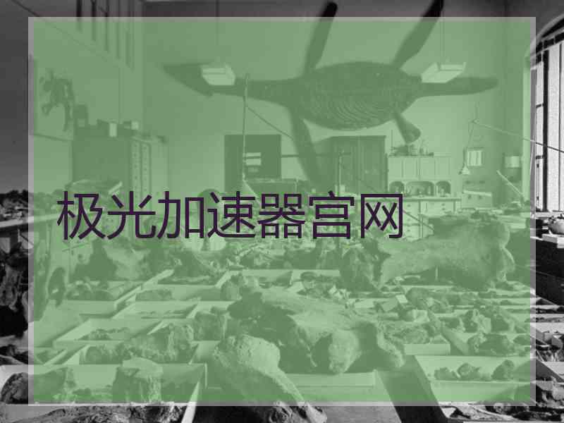 极光加速器宫网