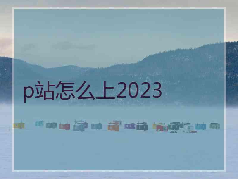 p站怎么上2023