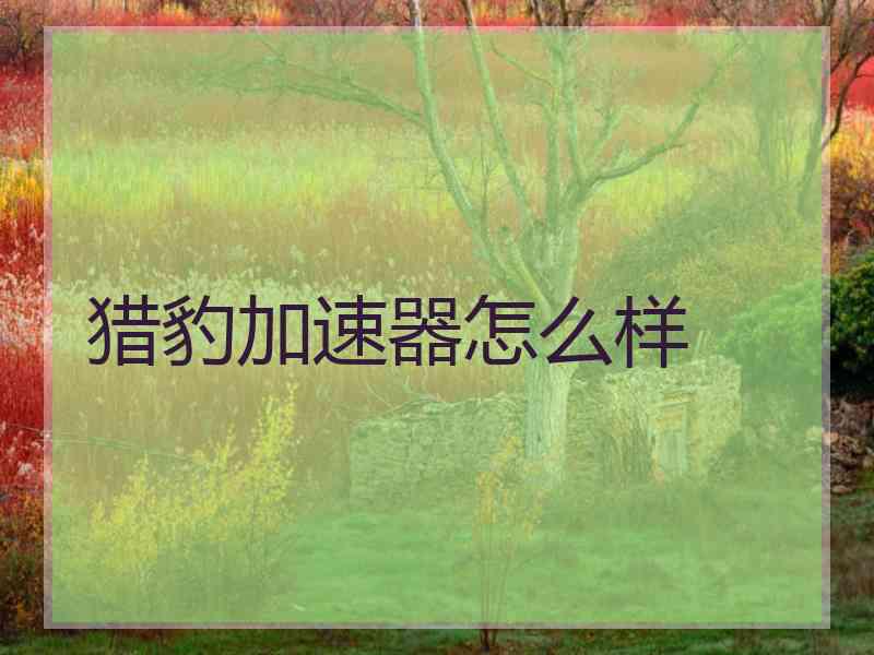 猎豹加速器怎么样
