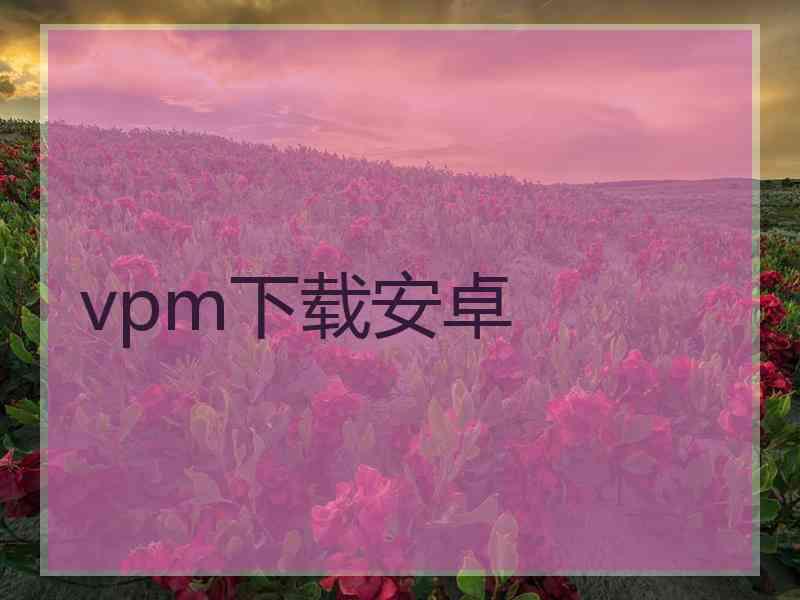 vpm下载安卓