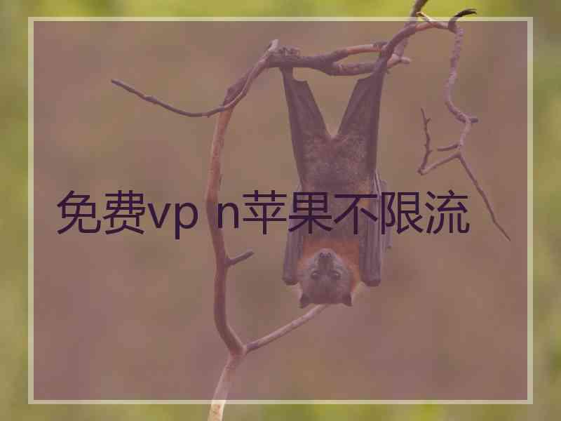 免费vp n苹果不限流