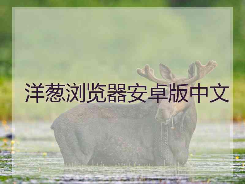洋葱浏览器安卓版中文