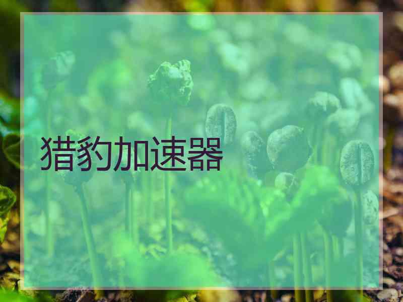 猎豹加速器