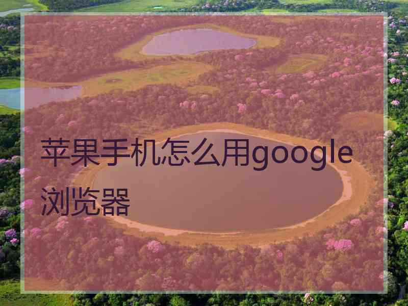 苹果手机怎么用google浏览器