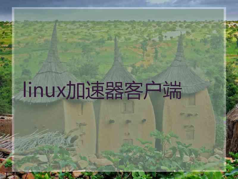 linux加速器客户端