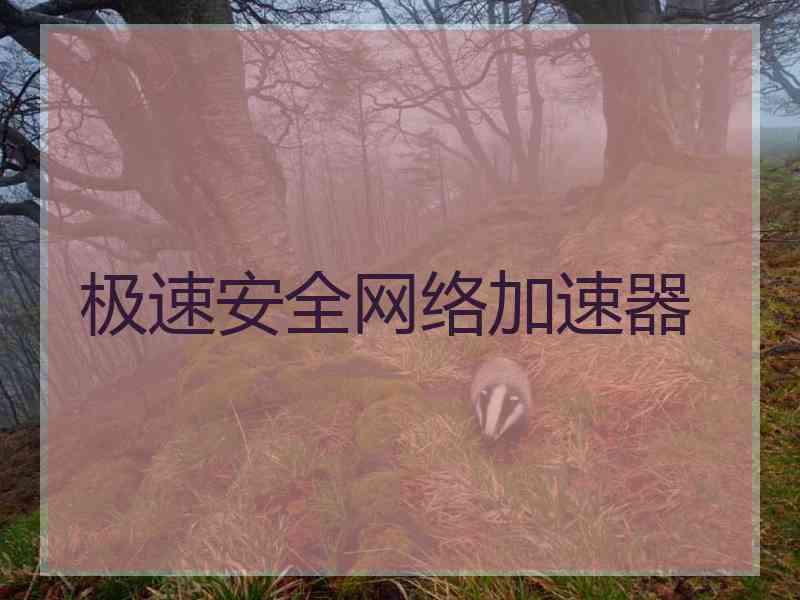 极速安全网络加速器