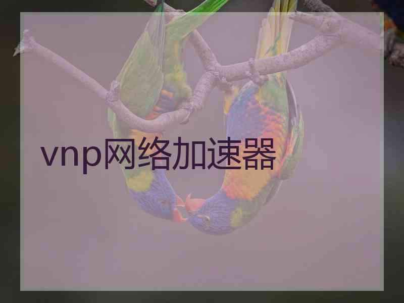 vnp网络加速器