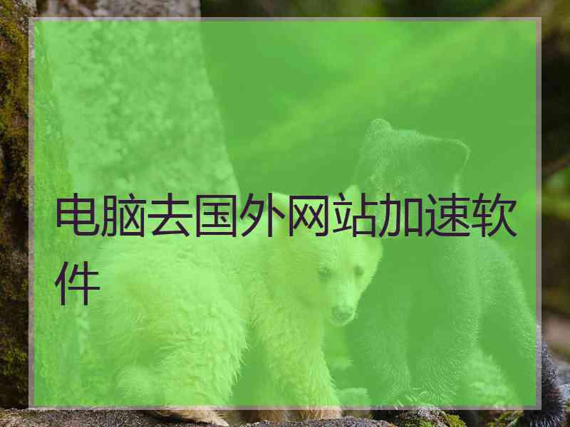 电脑去国外网站加速软件
