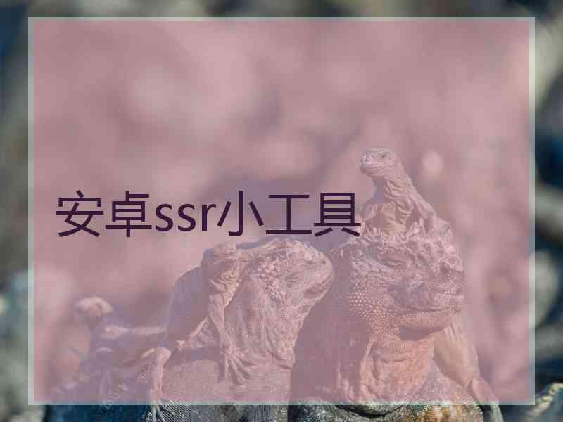 安卓ssr小工具
