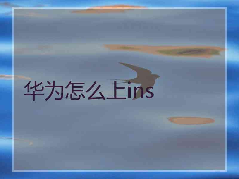 华为怎么上ins