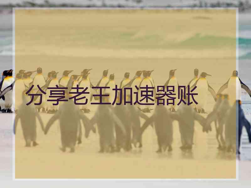 分享老王加速器账
