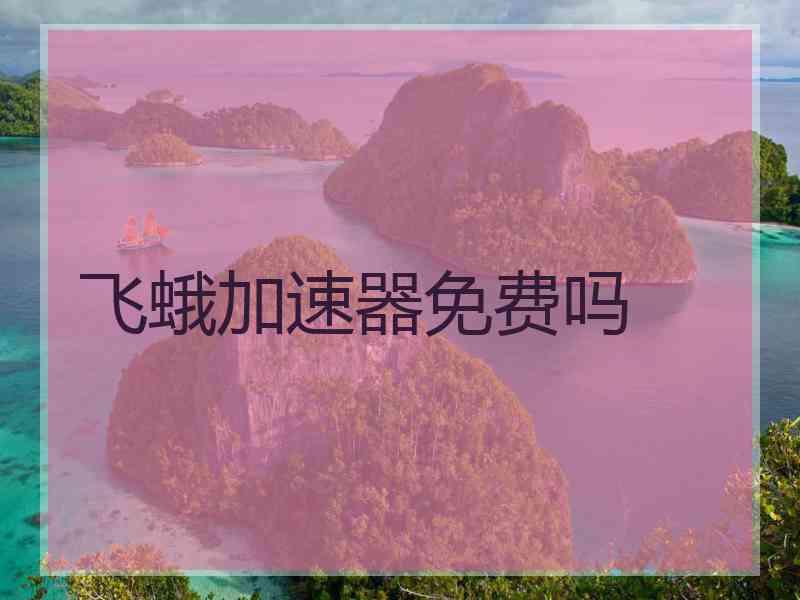 飞蛾加速器免费吗