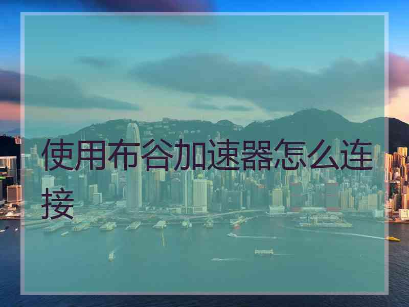 使用布谷加速器怎么连接