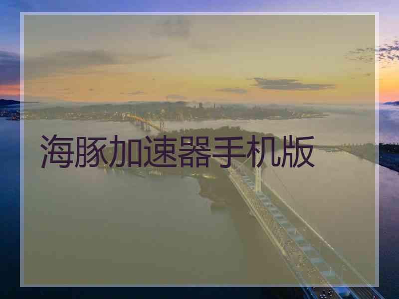 海豚加速器手机版