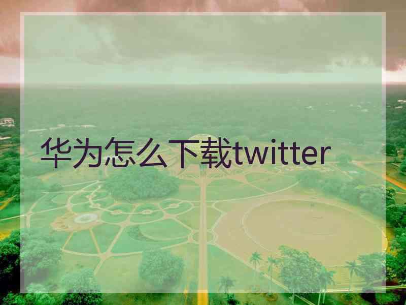 华为怎么下载twitter