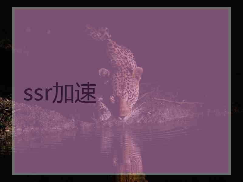 ssr加速