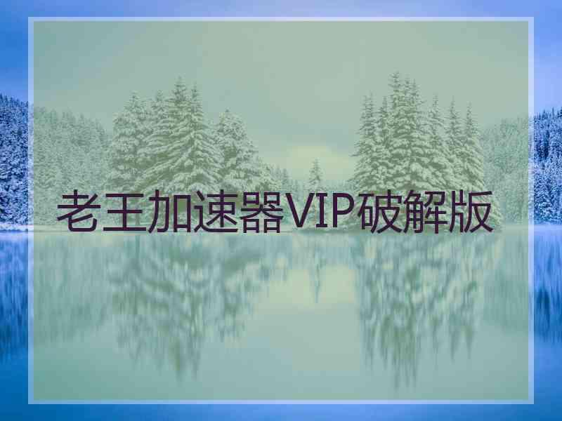 老王加速器VIP破解版
