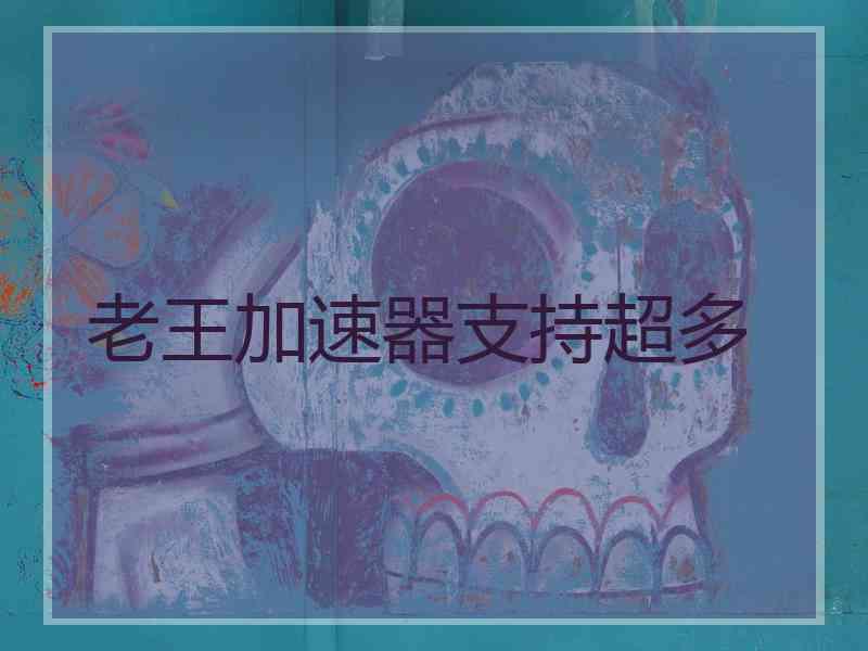 老王加速器支持超多