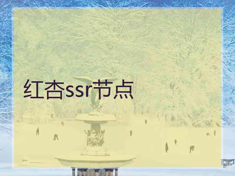 红杏ssr节点