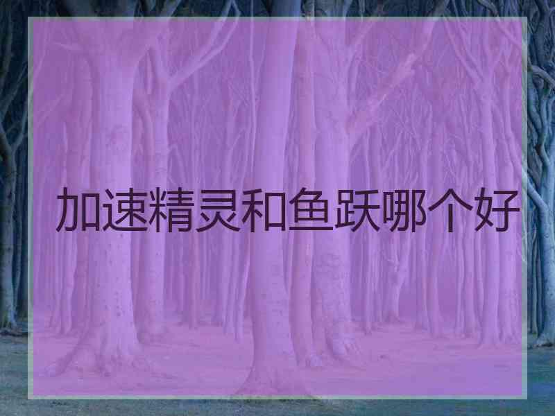 加速精灵和鱼跃哪个好