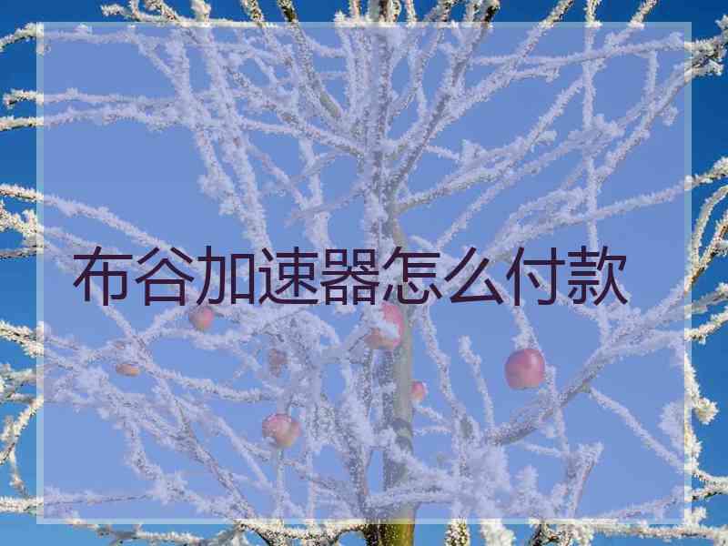 布谷加速器怎么付款