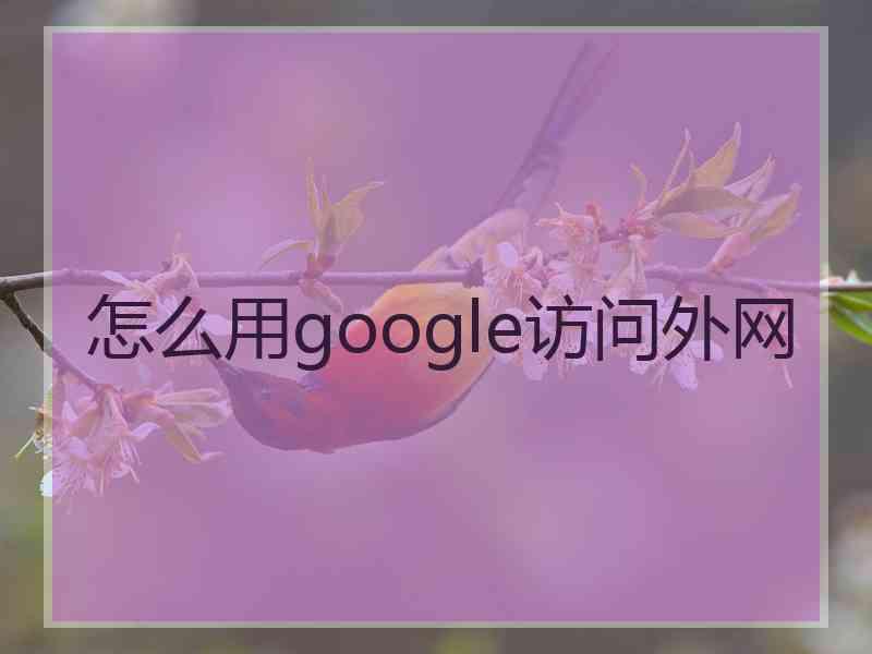 怎么用google访问外网