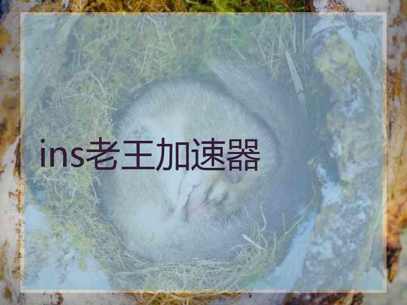 ins老王加速器