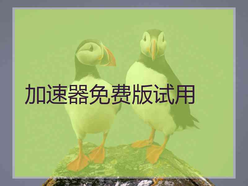 加速器免费版试用