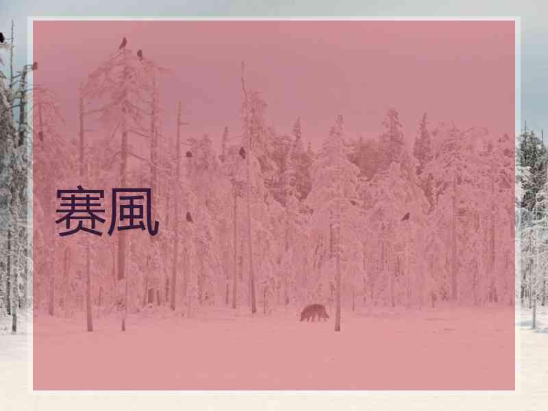 赛風