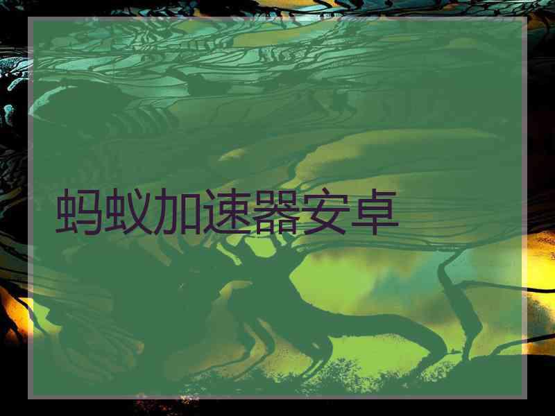 蚂蚁加速器安卓