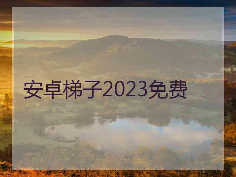 安卓梯子2023免费
