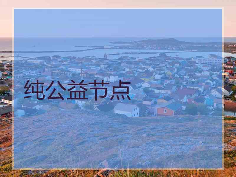 纯公益节点