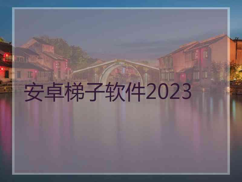 安卓梯子软件2023