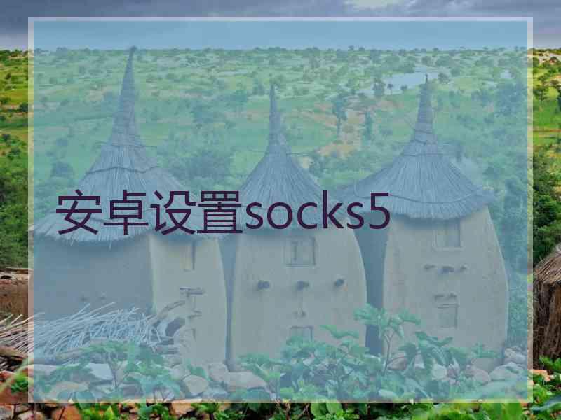 安卓设置socks5