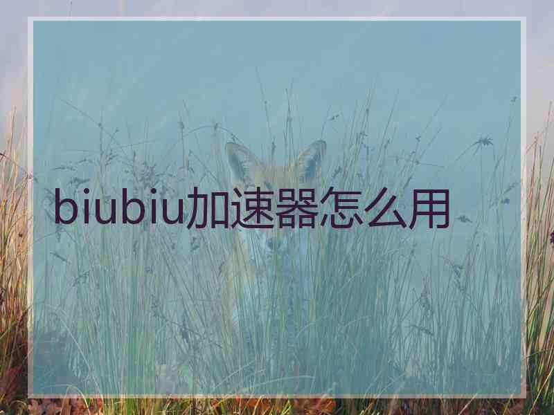 biubiu加速器怎么用