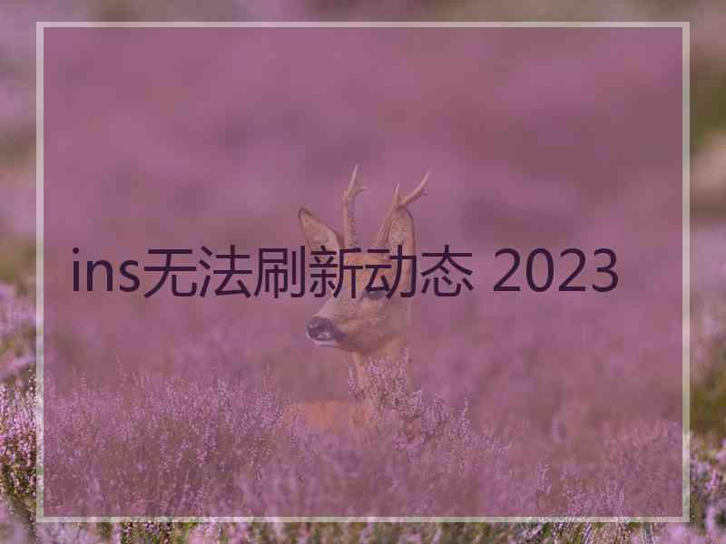 ins无法刷新动态 2023