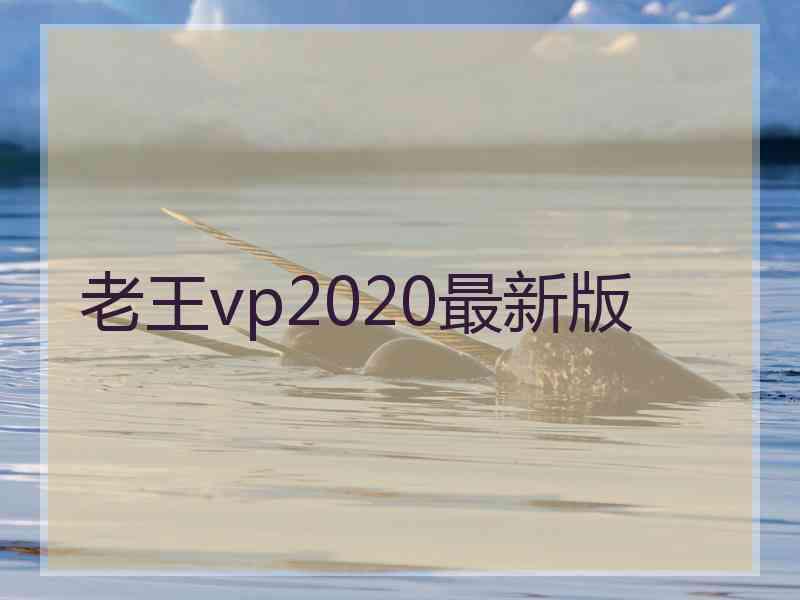 老王vp2020最新版
