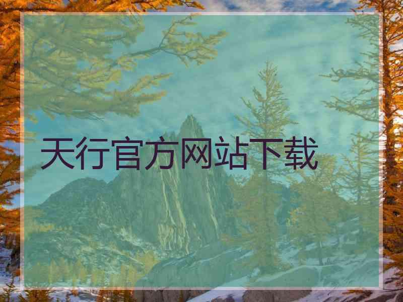 天行官方网站下载